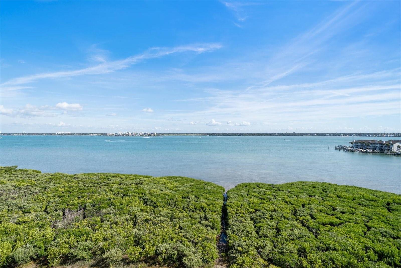1501 Gulf Blvd #604