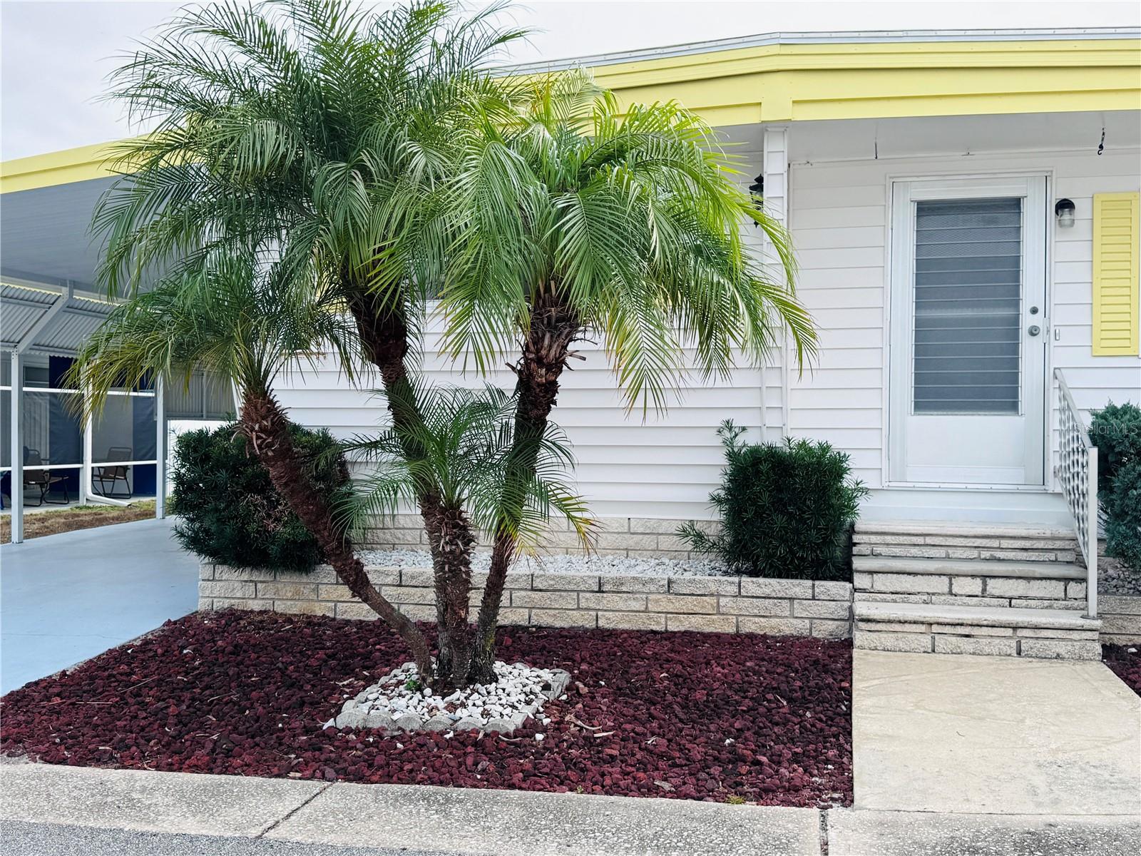 2331 Belleair Rd #715