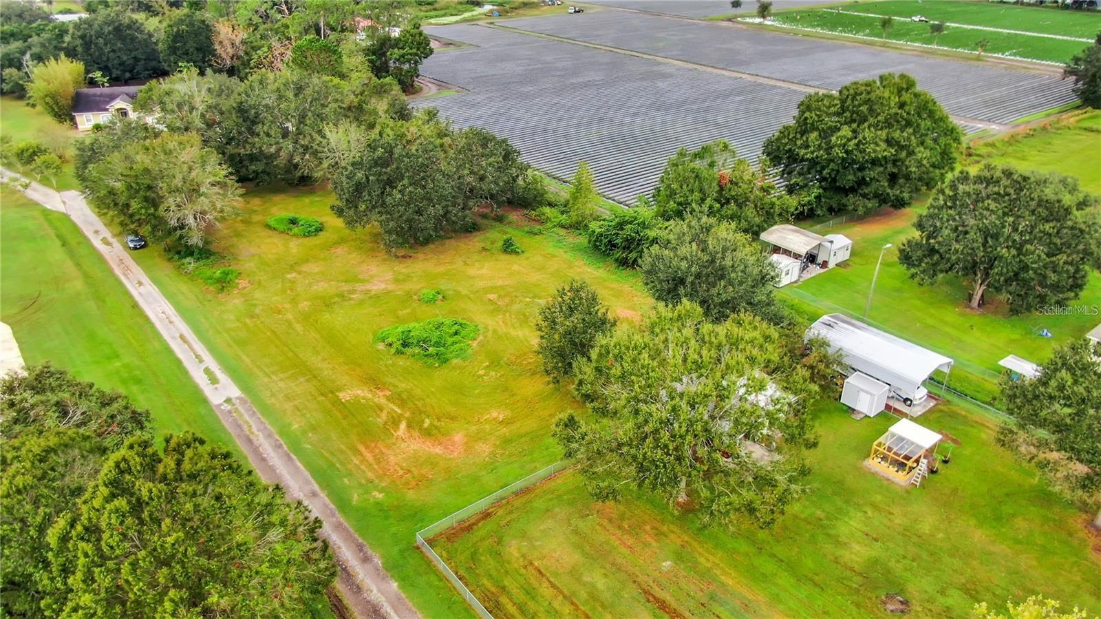 13906 Sweet Blossom CT