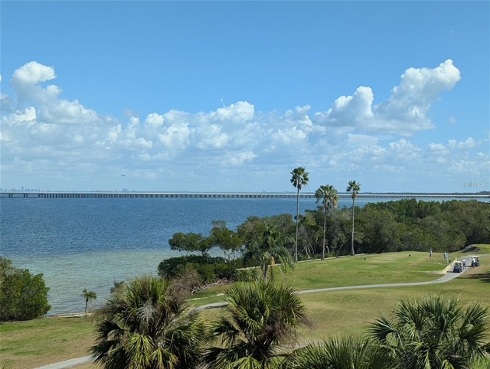 2616 Cove Cay Dr #502