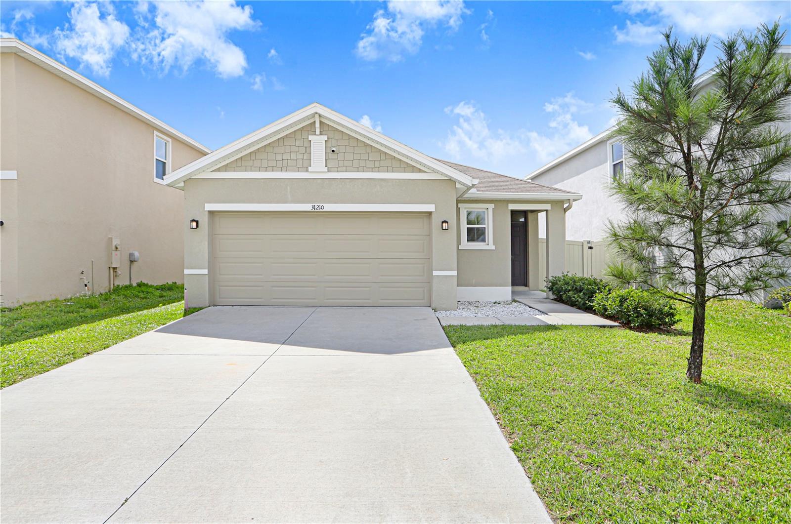 31210 Penny Surf Loop
