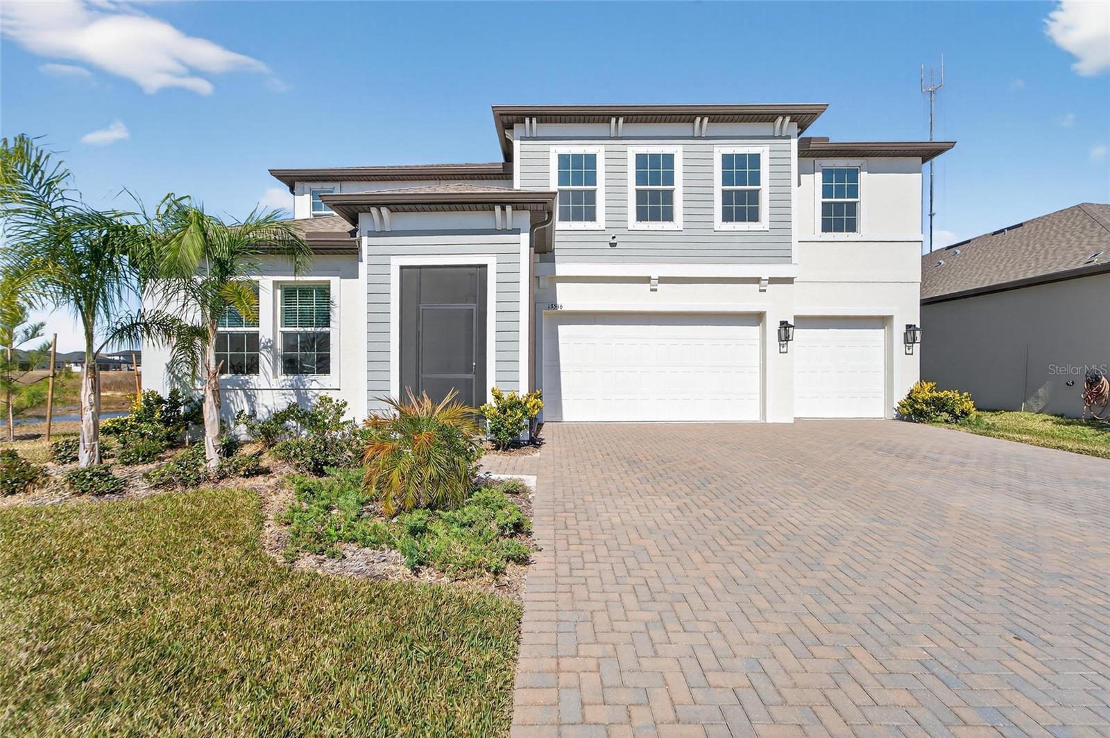 13546 Brook Trout CT