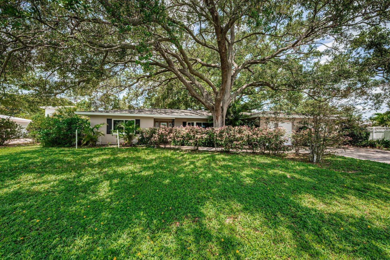 1704 Cypress Ave