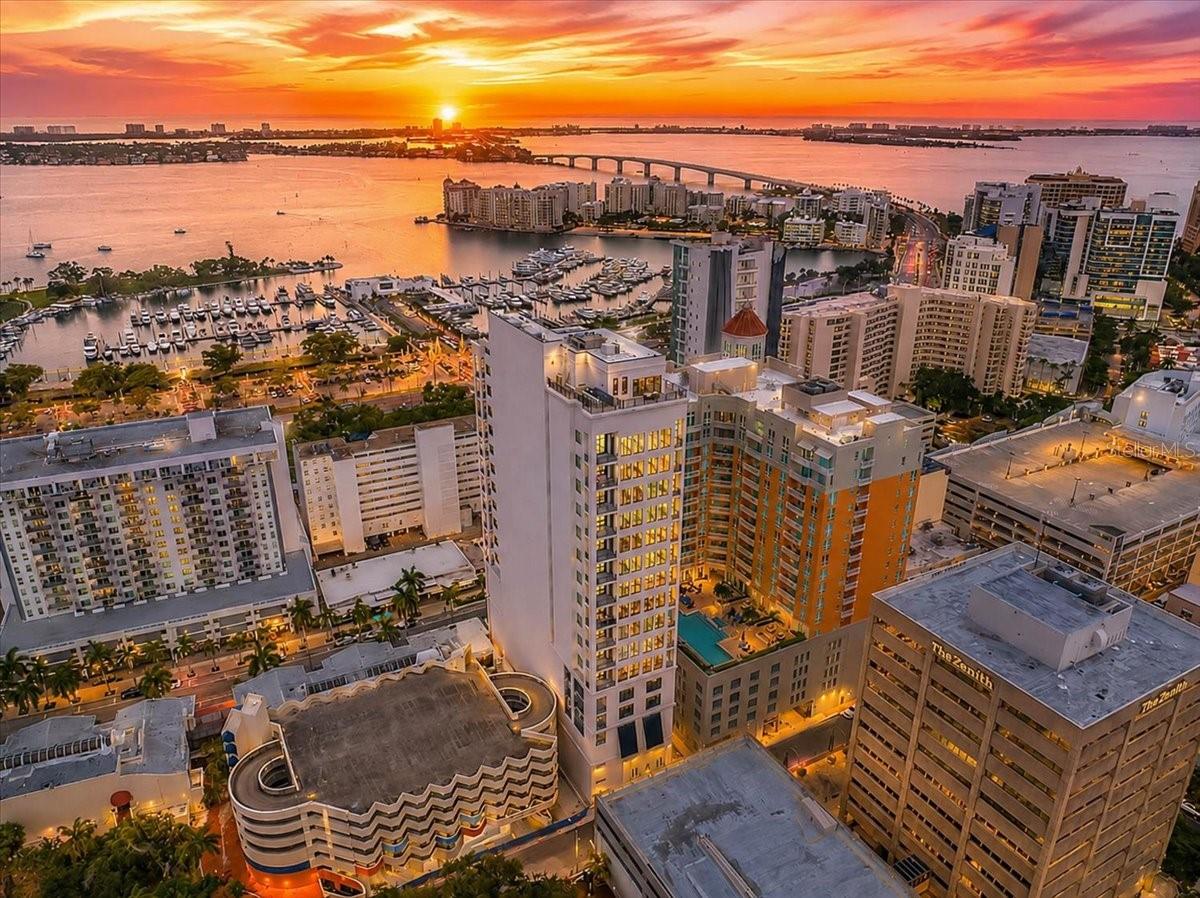 33 S Palm Ave #901