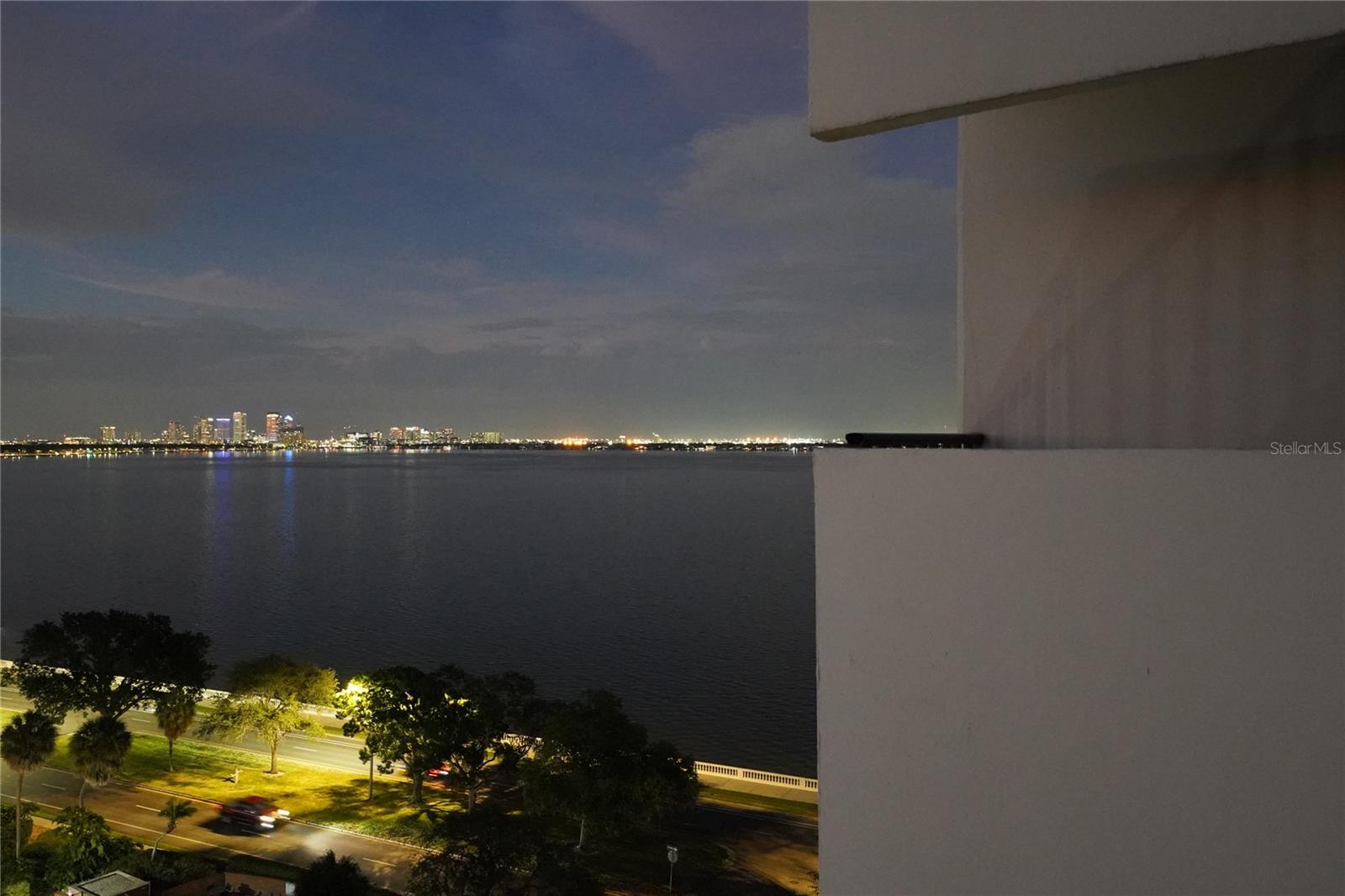 4141 Bayshore Blvd #1106