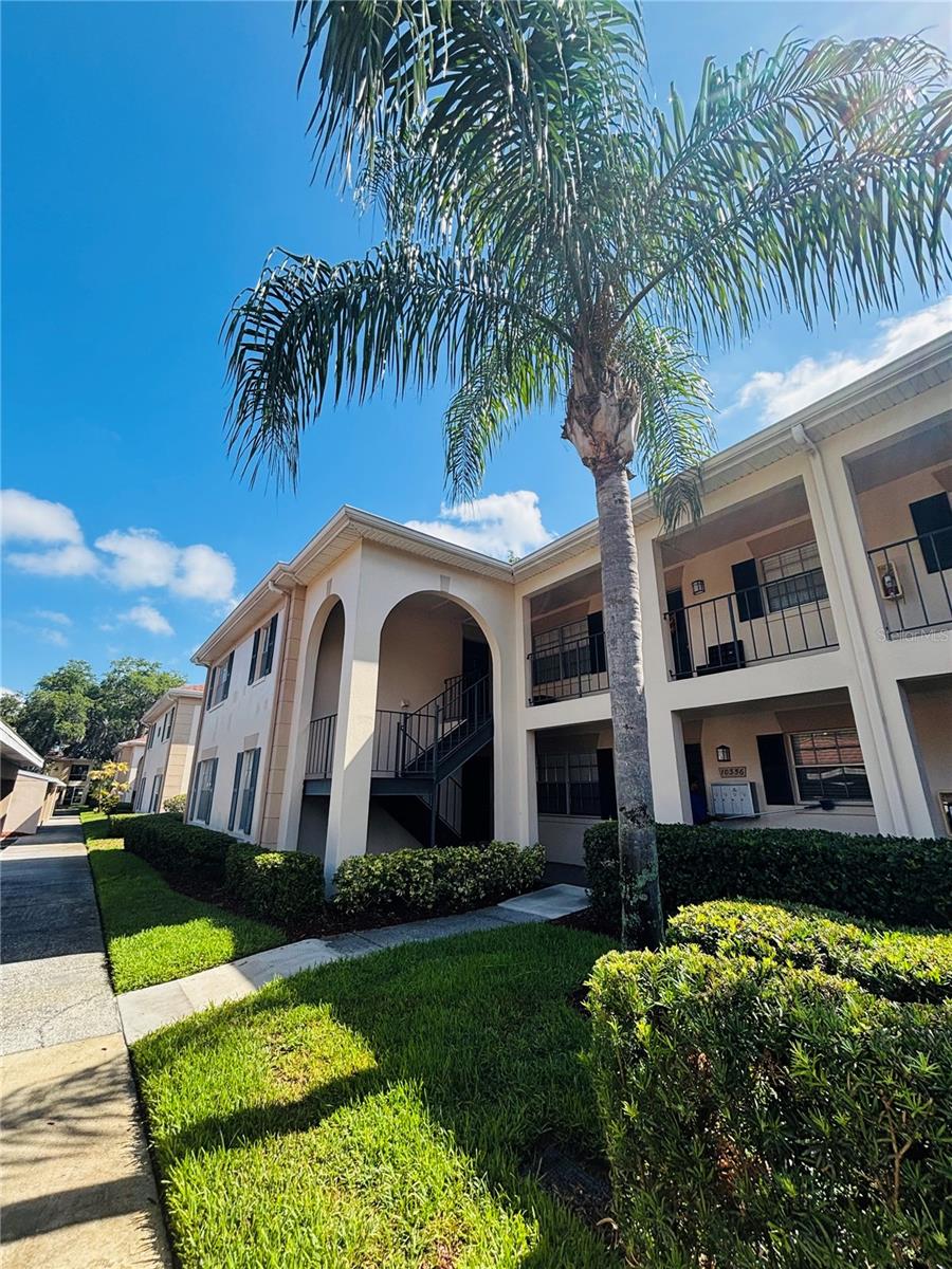 10356 Carrollwood Ln #205