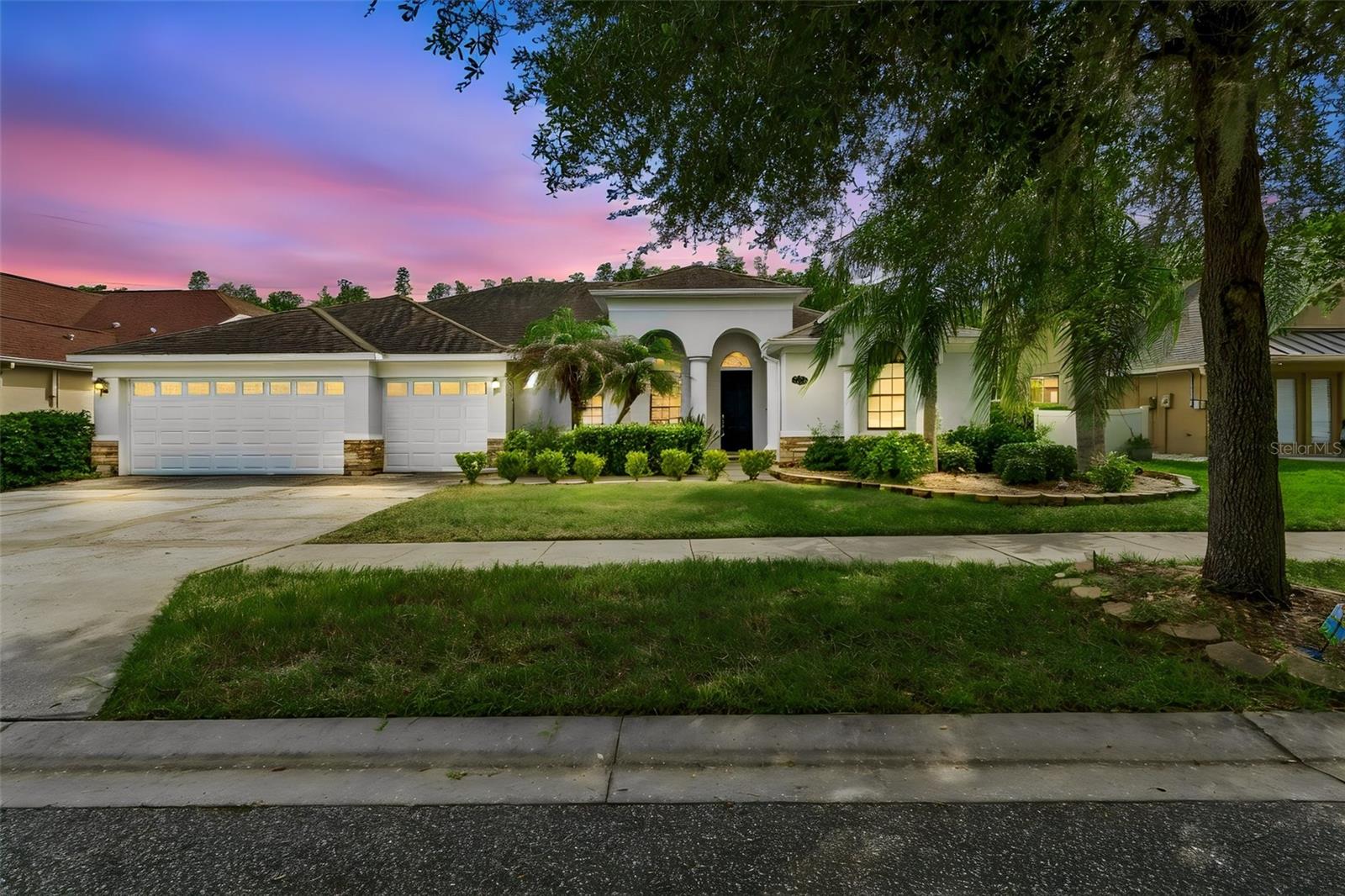 19236 Climbing Aster Dr