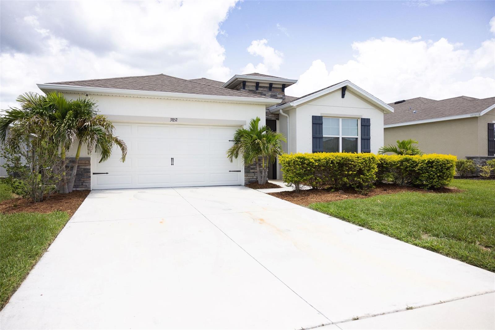 3852 Mossy Limb CT