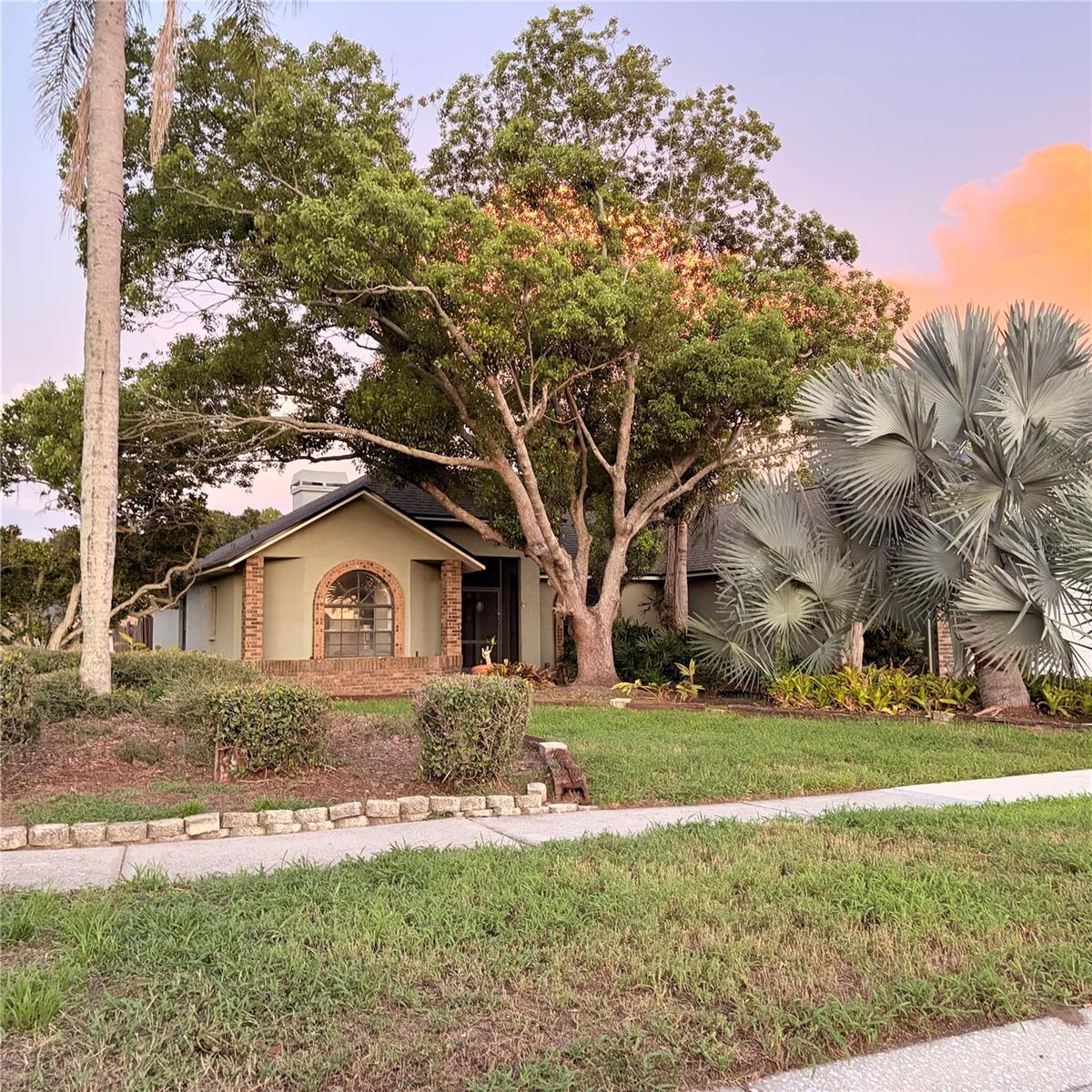 1015 Calle Rosa Pl