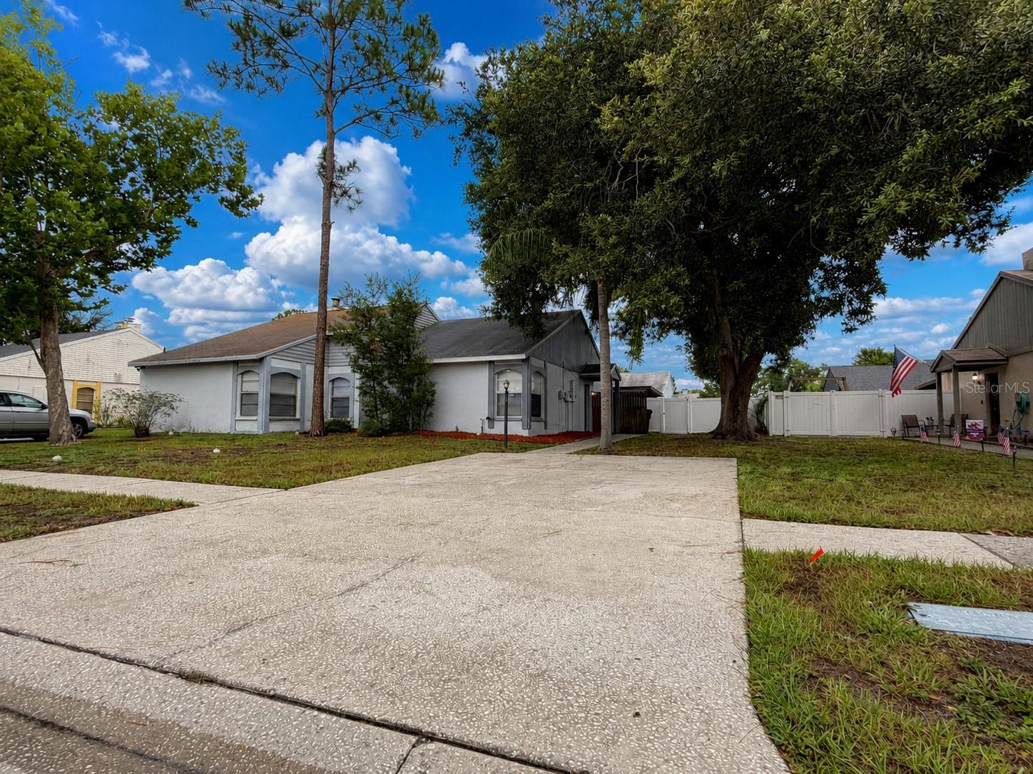 7705 Citronella CT