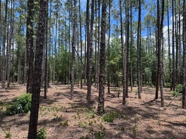 18517 Livingston Ave