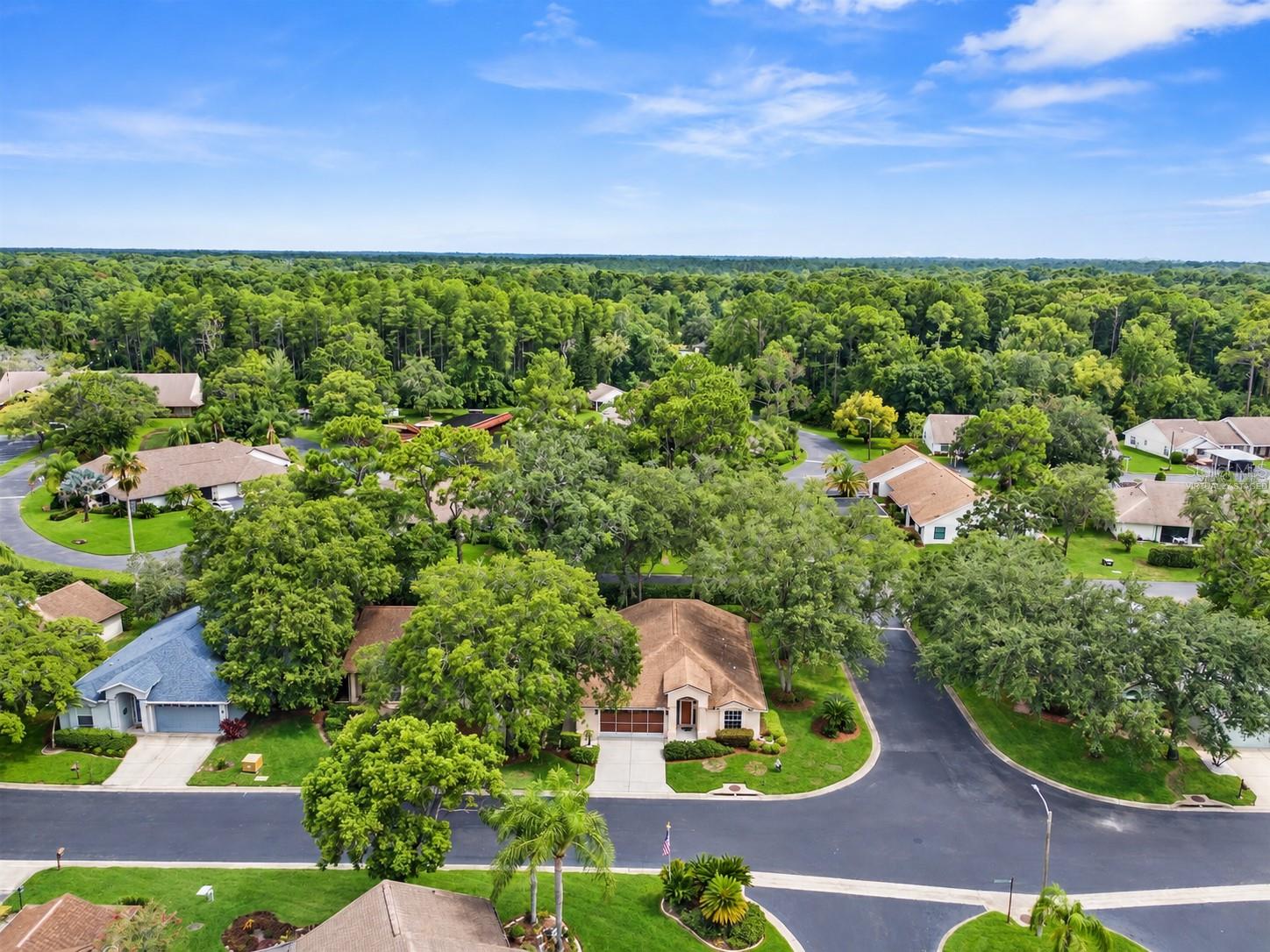 10846 Brookhaven Dr