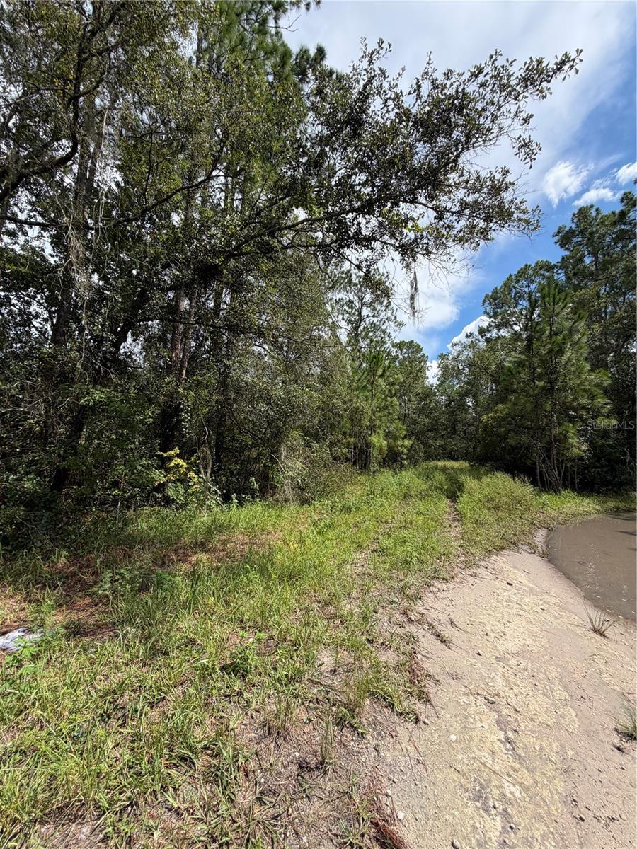 1746 Country Woods Dr
