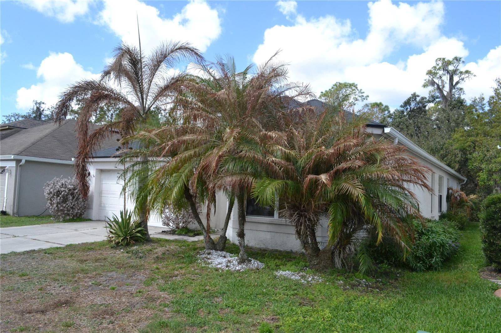 27353 Edenfield Dr